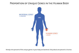 Graphic titled "Proportion of Unique Genes in the Human Body" with human figure color coded to show 99% of unique genes are bacterial, not human.