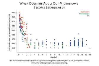 A scatter plot titled "When does the adult gut microbiome become established?" showing most activity in first 3 years of life. 