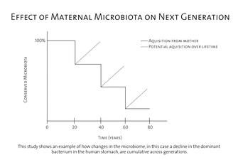 Chart titled "Effect of Maternal Microbiota on Next Generation" with line graph showing decline in dominant bacterium in human stomach.