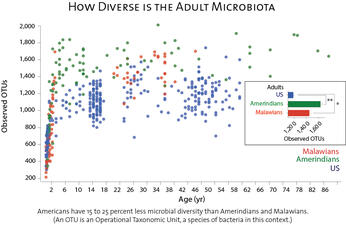 Scatter plot titled "How diverse is the adult microbiome?" showing Americans have less microbial diversity than Amerindians and Malawians. 