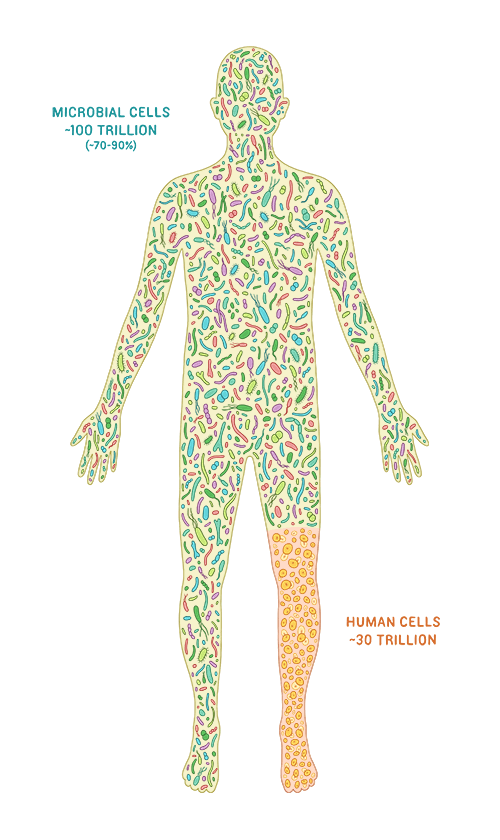 Illustrated outline of a human body filled with microbial cells.