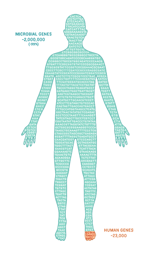 Illustrated outline of a human body filled with microbial genes.
