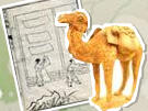 A model of a camel bearing a pack, superimposed over a background drawing of people.