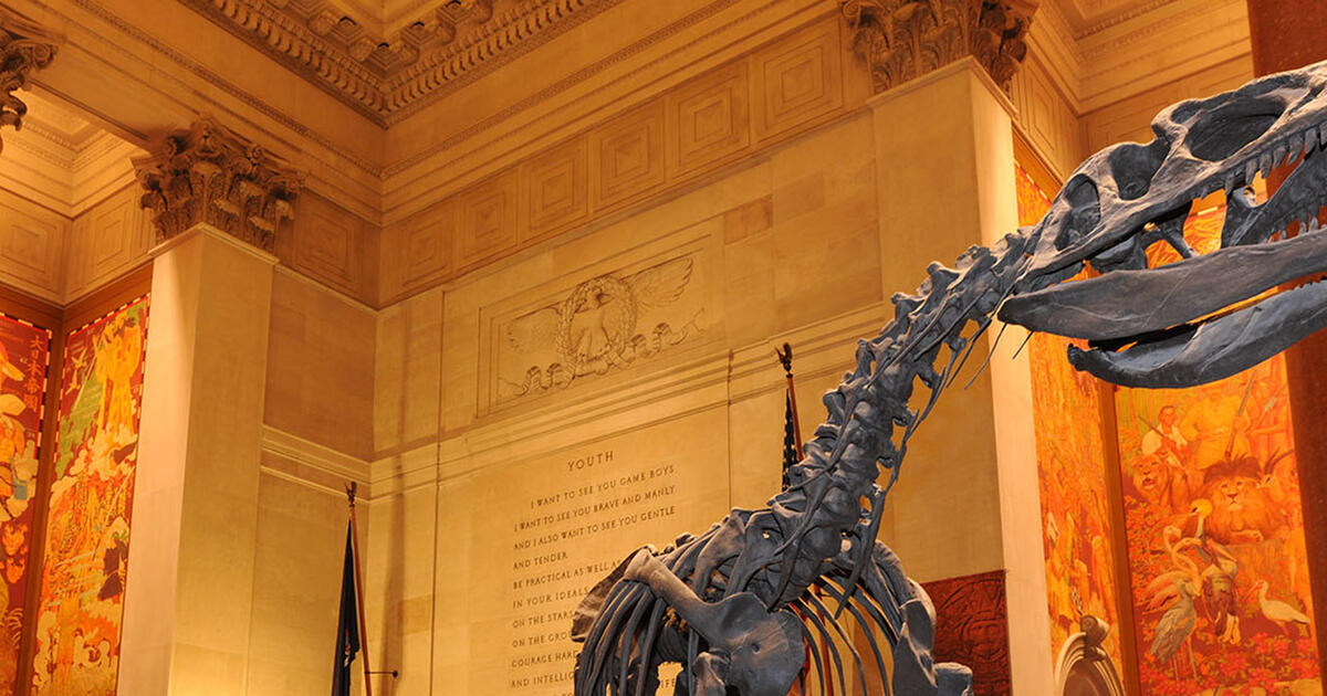 Group Visits | American Museum of Natural History