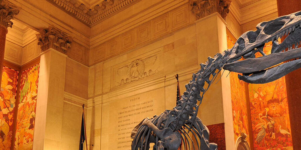 Group Visits | American Museum of Natural History