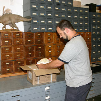 Fossil Storage Organization | American Museum of Natural History
