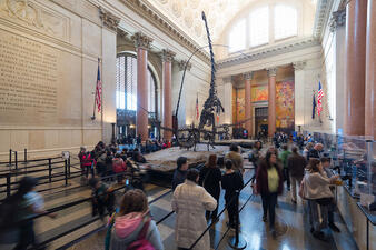 Museum visitors line up for tickets in the Theodore Roosevelt Rotunda. 