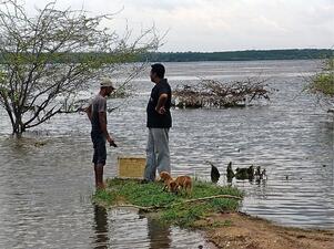 Two men, one  standing ankle-deep in water, the other a few feet away on a grassy bank with two small dogs at his feet.