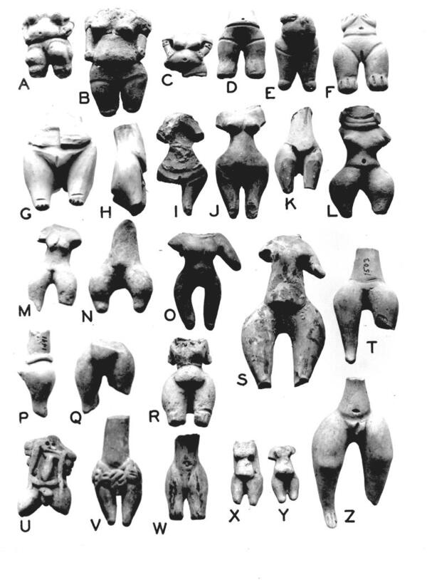 Two dozen figurine body fragments, headless torsos mostly curvaceous nude female forms, discovered in Tampico-Panuco region, Periods II-VI.