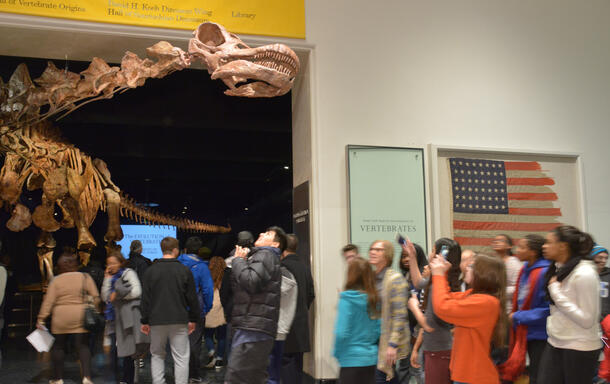 Titanosaur Fourth Floor