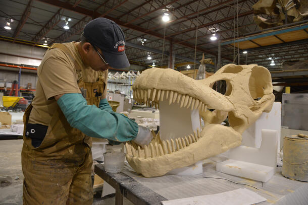 Titanosaur Skull Cast