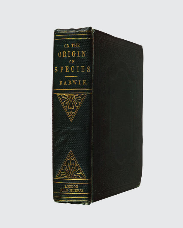 Spine of an embossed copy of Darwin's The Origin of Species. 