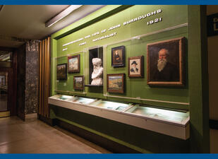 Museum hallway with wall display featuring seven paintings, including portraits of John Burroughs and landscapes, and a bust of John Burroughs.