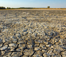 Landscape of dried, cracked, rocky ground stretching into the distance. 