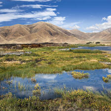 Dry mountains in background with swamps surrounded by grass in foreground.