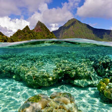 Partially underwater view of coral in the ocean, with the mountains on land visible above the water and a bright sky above.