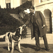 Theodore Roosevelt in the yard petting a large, spotted dog.