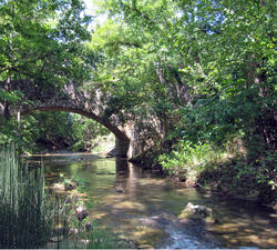 River surrounded by trees and greenery on both sides runs under a brick bridge. 