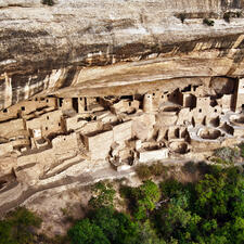 Overhead view of the large Cliff Palace cliff dwelling, above trees and below overhanging rock.