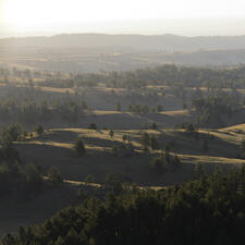 Overhead view of a landscape of small hills dotted with trees.