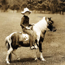 Archie Roosevelt sitting on his pony, Algonquin.