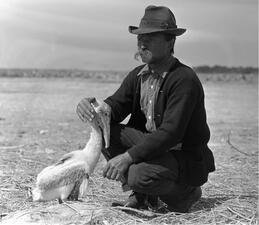 Paul Kroegel, with a large mustache and wearing a hat, kneels on the ground and places right hand on a pelican's head.