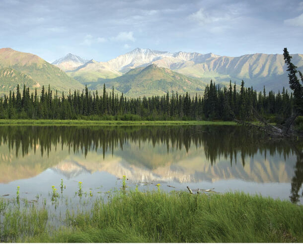 Painting of mountains and a row of trees reflected in a clear lake in front of them.