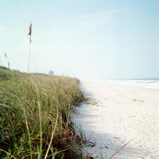 Sandy coast with grass to the left and water to the right.