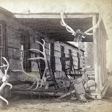 The porch of Elkhorn Ranch with rocking chairs and multiple animal horns on display.