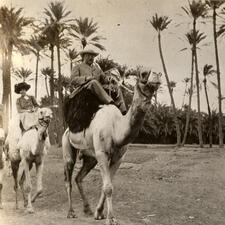 Theodore and Edith Roosevelt ride camels, with many palm trees in the background.