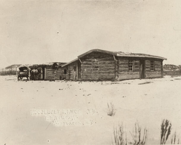 Wooden cabin with a horse outside in an isolated landscape.