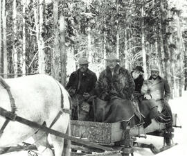Theodore Roosevelt, John Burroughs, and two other people in a horse-drawn sleigh with thin trees behind them.