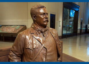 Sculpture depicting Theodore Roosevelt seated on a bench in the Theodore Roosevelt Memorial Hall.