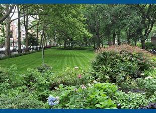 View of Theodore Roosevelt Park, with bushes and flowers in foreground and flat, grassy area in background surrounded by trees.