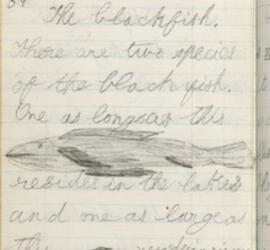 Handwritten page with an illustration of a fish in the center of the page.