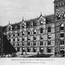 Historical illustration of the exterior of the American Museum of Natural History with about 20 people standing outside.