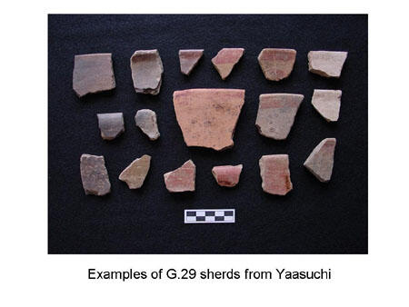 Sixteen potsherds of different colors, respresenting examples of G.29 sherds from Yaasuchi.