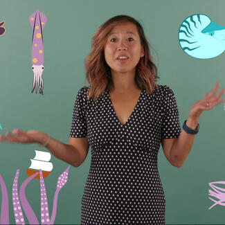 Conservation biologist Samantha Cheng stands in front of teal backdrop with cartoon cephalopods around her (octopus, nautilus, cuttlefish, belemnite)