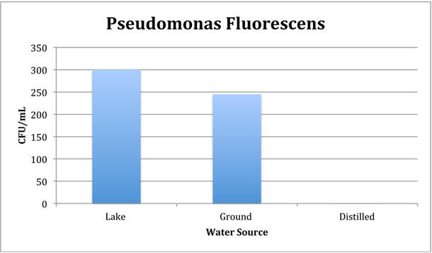 A bar chart about Pseudomonas fluorescens in lake, ground, and sterile distilled water. Lake water has the most at 300 CFU/mL, and distilled shows no presence of the bacteria.
