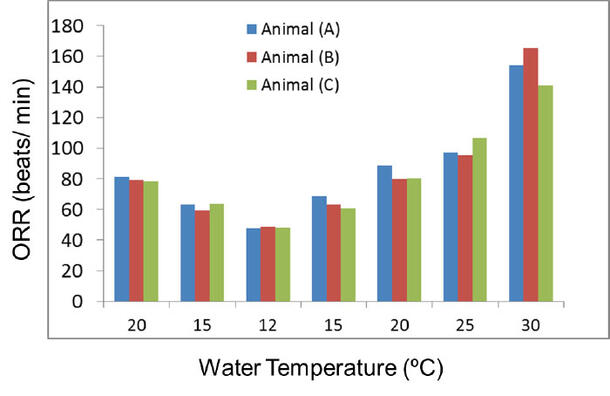 Bar graph showing the ORR of three different animals at various water temperatures.