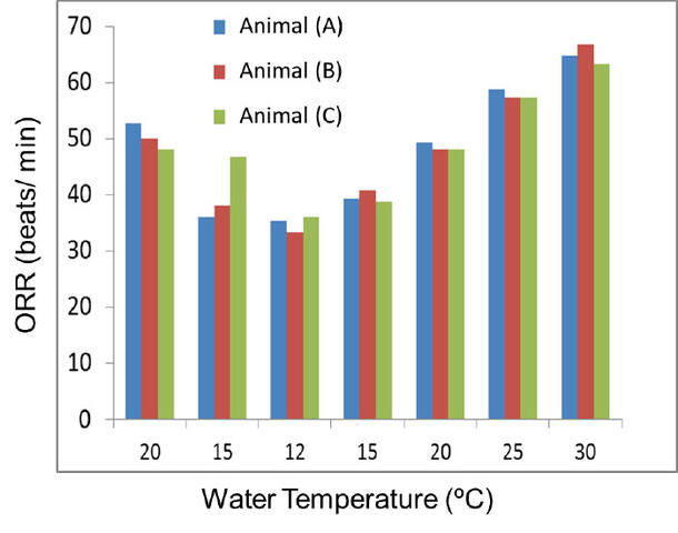A bar chart detailing the effects of water temperature on the Opercular Respiratory in beats per minute on three Brown Bullhead Catfishes.