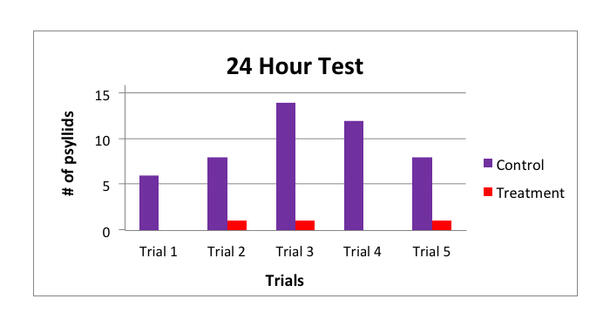 Bar chart showing number of psyllids in a control and treatment mango leaf after 24 hours in 5 trials.