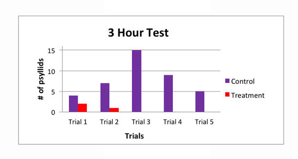 Bar chart showing number of psyllids in a control and treatment mango leaf after 3 hours in 5 trials.