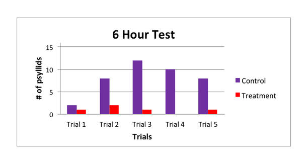 Bar chart showing number of psyllids in a control and treatment mango leaf after 6 hours in 5 trials.