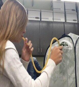 A young person breathes into a tube and holds the other end into an opening in an opaque tent-like covering for a plant.