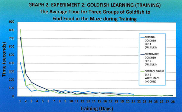 Line graph showing that the average time for three groups of goldfish to find food in a maze declined with more training. 