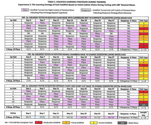 Spreadsheet titled "Goldfish Learning Strategies During Training" with three charts tracking data from three experiments.