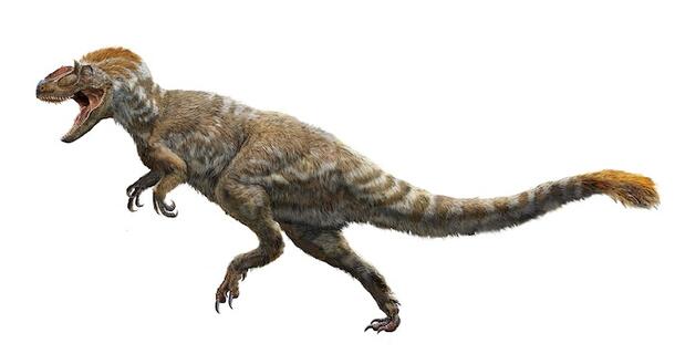 Rendering of a Yutyrannus huali, a feathered tyrannosaur.