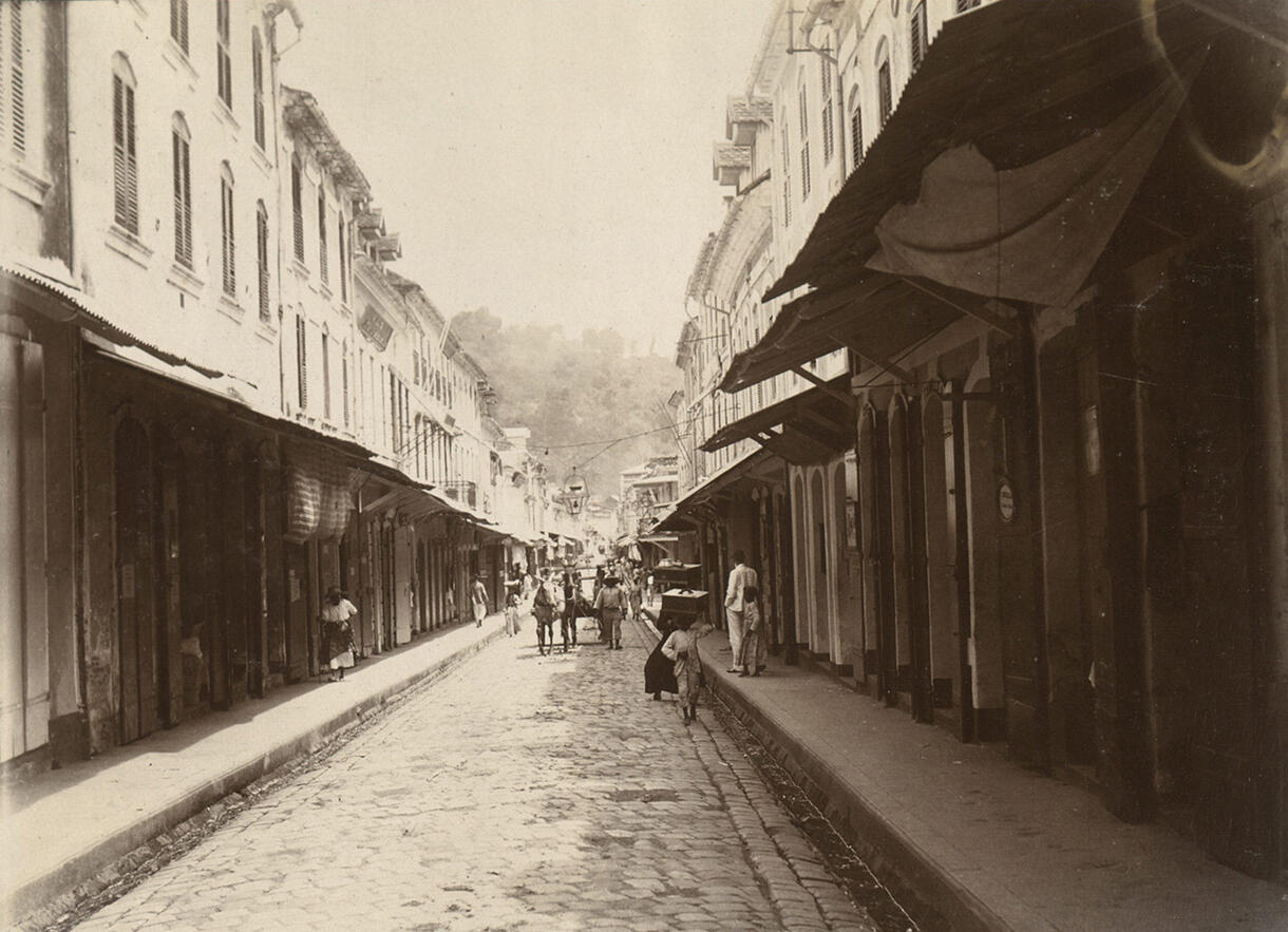 Historical photograph of a narrow, cobblestone street lined with buildings with two horses coming down the street.