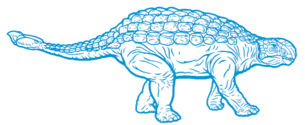 Blue drawing of an ankylosaurus-like dinosaur.